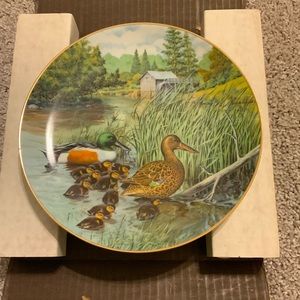 Bradford Exchange Bart Jerner 87 Northern Shoveler Duck Plate Certificate Box